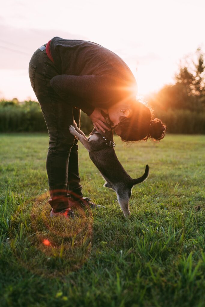 Balancing Rest and Activity: The Importance of Recovery in Puppy Exercise Routines