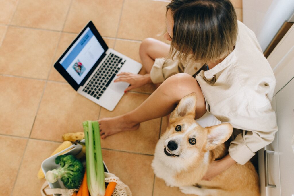 Electric Clippers vs. Manual Clippers: Which One is Best for Your Dog?