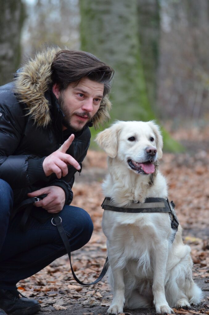 The Significance of Yawning and Lip Licking in Puppy body language