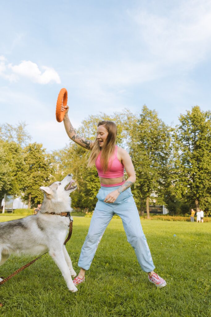 The Benefits of Large Dog Toys for Physical and Mental Health