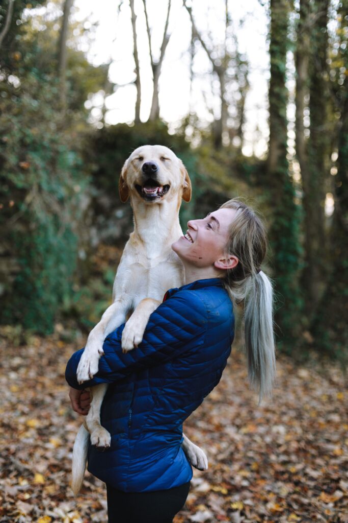 Precautions and Guidelines for Feeding Vegetables to Dogs: What You Need to Know